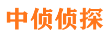 江苏市侦探调查公司